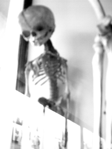 Specimen One (2006)